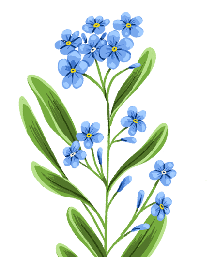Forget Me Not